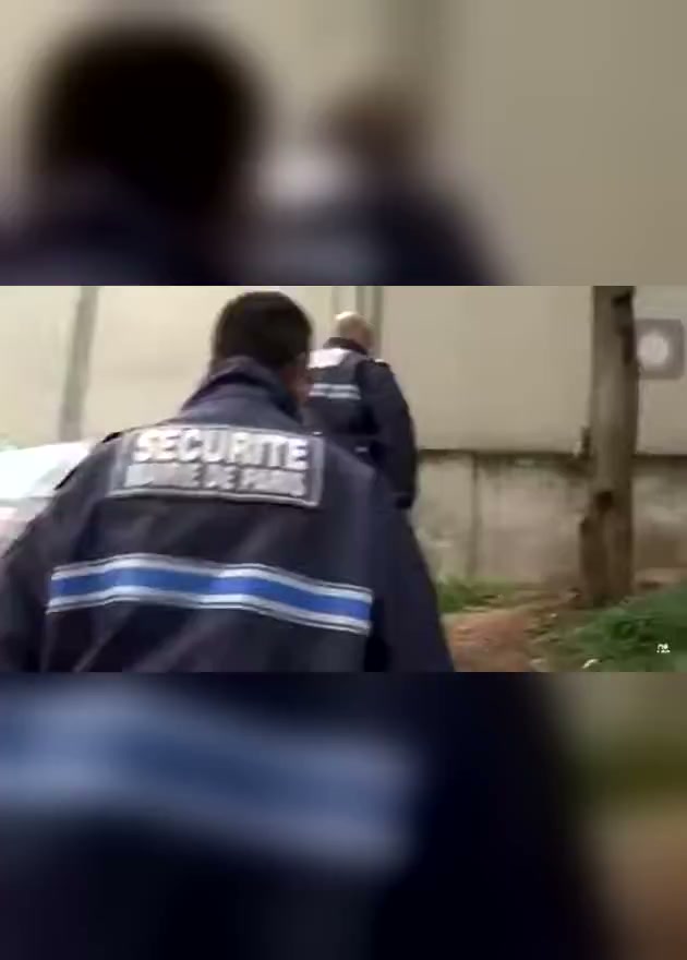 On vient de jeter un chat sur la caméra