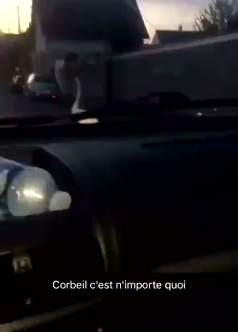 C'est quoi ce truc sur la route