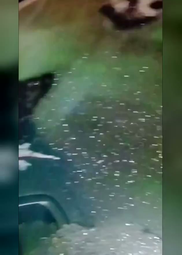 L'antigel qui gèle
