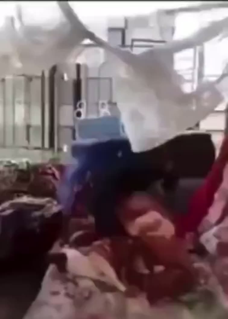 J'en veux pas de ce chien