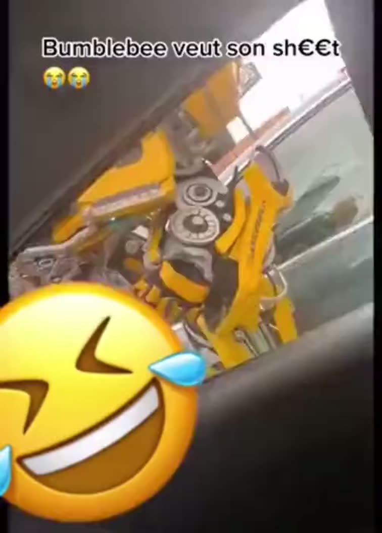 Bumblebee veut son shit